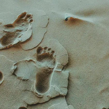 Pieds plats, pieds creux