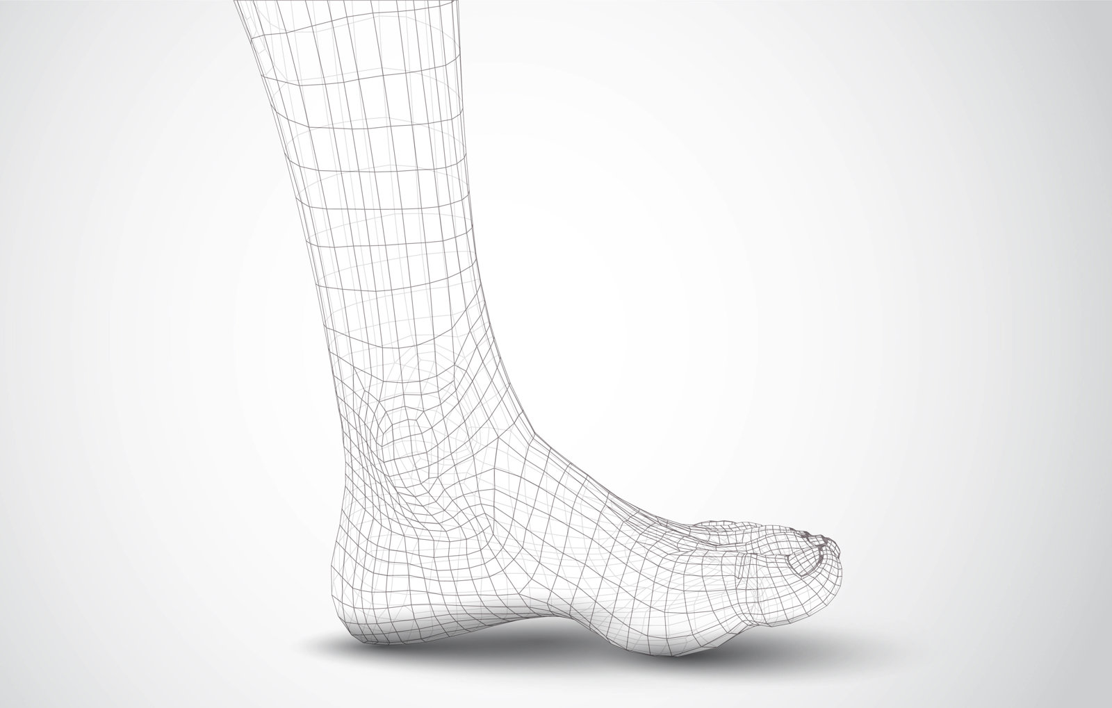 Adobestock 195580481